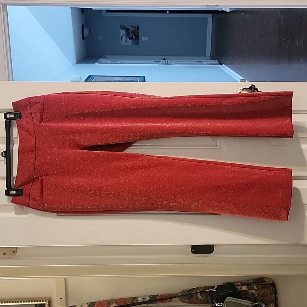 NWT petite sparkle pants